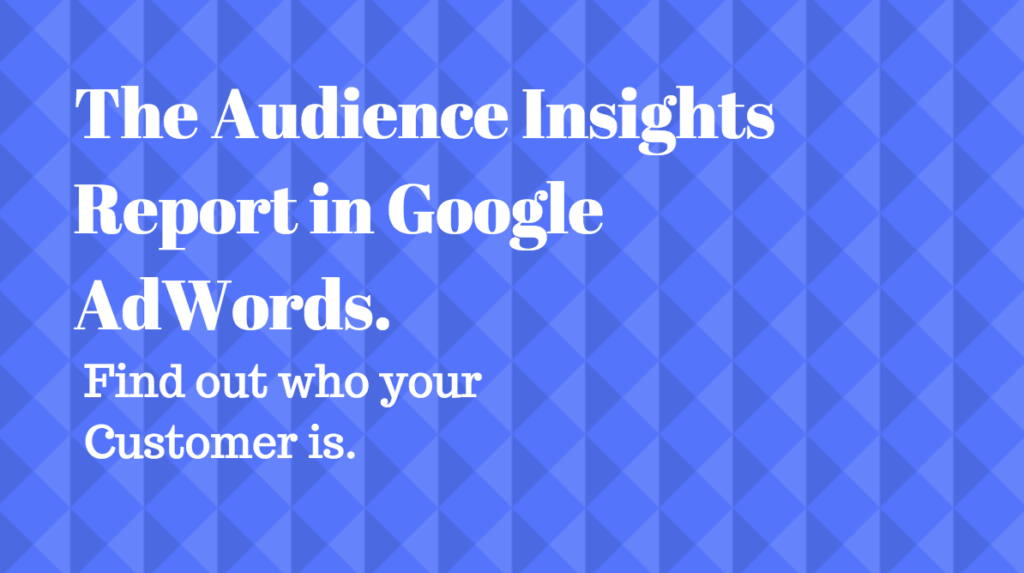 audience-insights-report-google-adwords